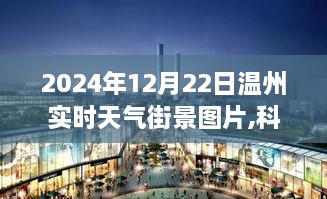 2024年12月25日 第4页