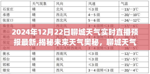 2024年12月26日 第12页