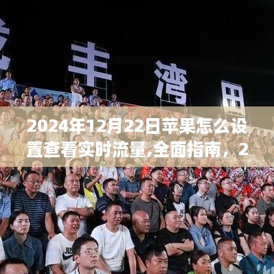 2024年苹果设备查看实时流量设置指南，全面解析如何设置查看实时流量消耗