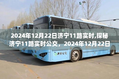 探秘济宁公交11路，2024年12月22日的独特体验之旅