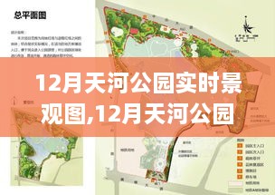 天河公园冬季实时景观图，感受冬日绿色的温暖拥抱