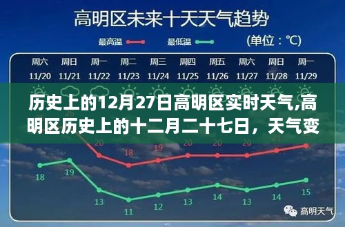 2024年12月29日 第12页