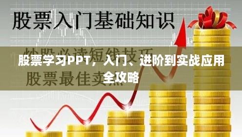 股票学习PPT，入门、进阶到实战应用全攻略