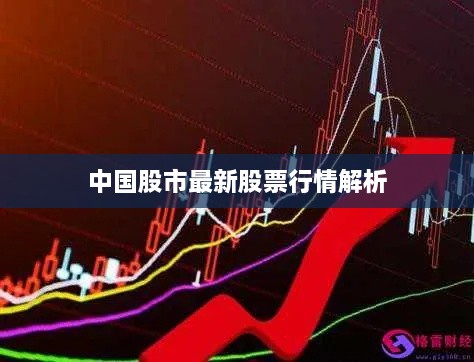 中国股市最新股票行情解析