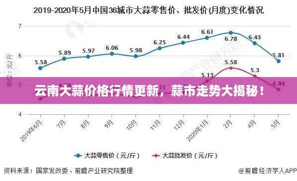 云南大蒜价格行情更新，蒜市走势大揭秘！