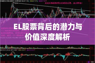 EL股票背后的潜力与价值深度解析