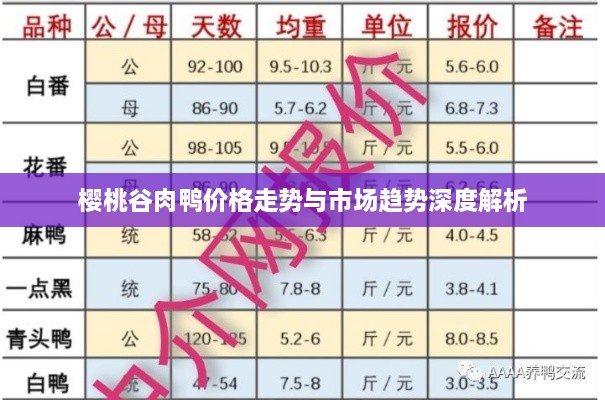 樱桃谷肉鸭价格走势与市场趋势深度解析