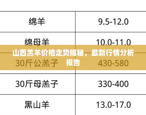 2025年1月1日 第13页