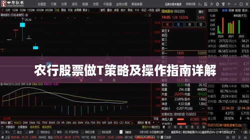 农行股票做T策略及操作指南详解