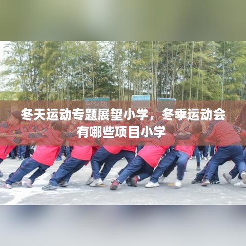 冬天运动专题展望小学，冬季运动会有哪些项目小学 