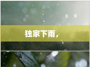 独家下雨， 