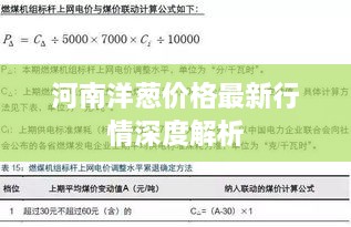 河南洋葱价格最新行情深度解析