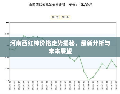 河南西红柿价格走势揭秘，最新分析与未来展望