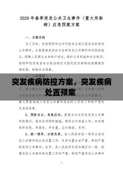 突发疾病防控方案，突发疾病处置预案 