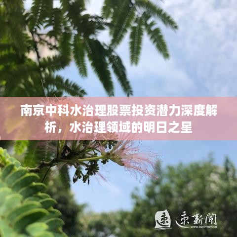 南京中科水治理股票投资潜力深度解析，水治理领域的明日之星