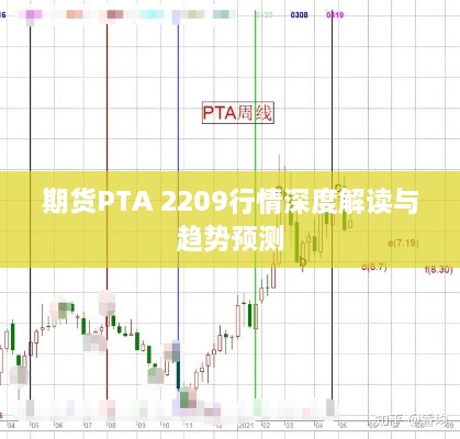 期货PTA 2209行情深度解读与趋势预测