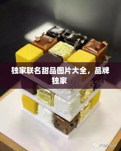 独家联名甜品图片大全，品牌独家 