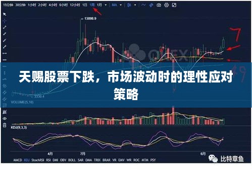 天赐股票下跌，市场波动时的理性应对策略