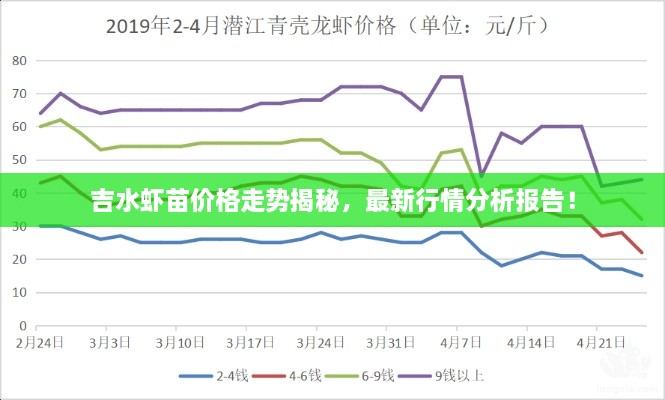 吉水虾苗价格走势揭秘，最新行情分析报告！