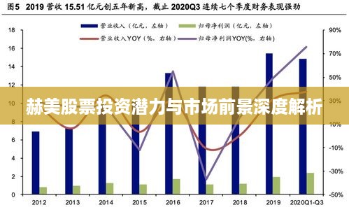 赫美股票投资潜力与市场前景深度解析