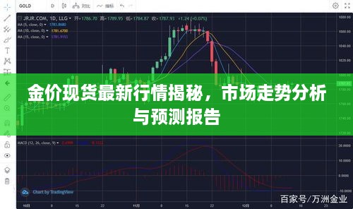 金价现货最新行情揭秘，市场走势分析与预测报告