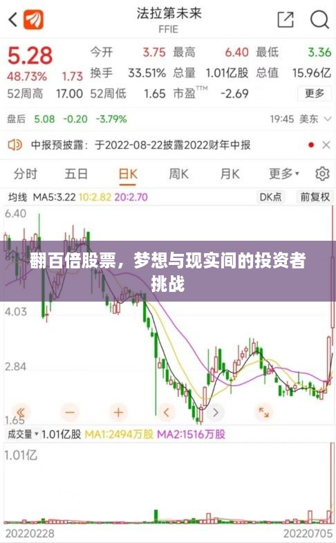 翻百倍股票，梦想与现实间的投资者挑战