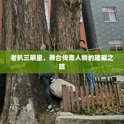 老扒三明星，舞台传奇人物的璀璨之旅