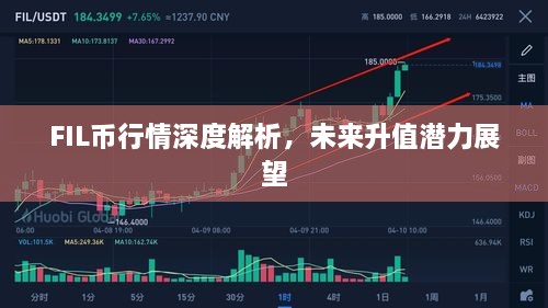 FIL币行情深度解析，未来升值潜力展望