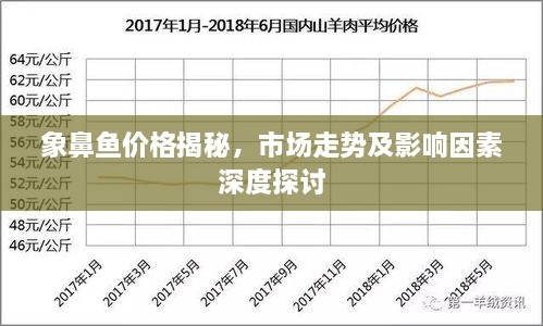 象鼻鱼价格揭秘，市场走势及影响因素深度探讨