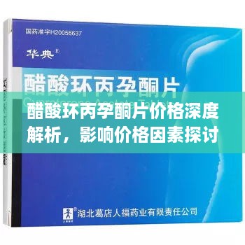 醋酸环丙孕酮片价格深度解析，影响价格因素探讨