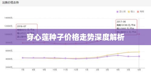 穿心莲种子价格走势深度解析