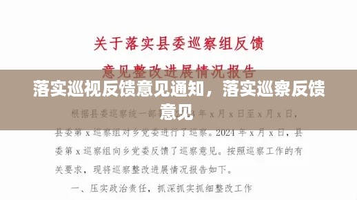 落实巡视反馈意见通知，落实巡察反馈意见 