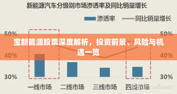 宝新能源股票深度解析，投资前景、风险与机遇一览