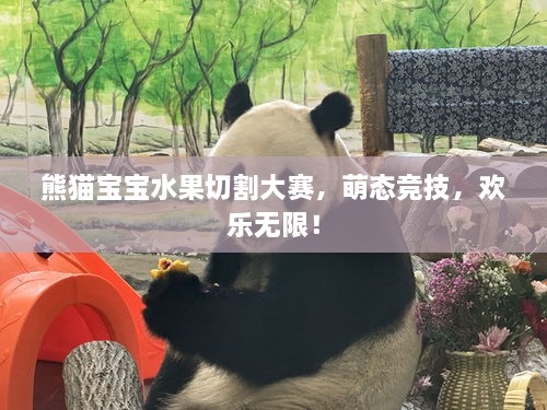 熊猫宝宝水果切割大赛，萌态竞技，欢乐无限！