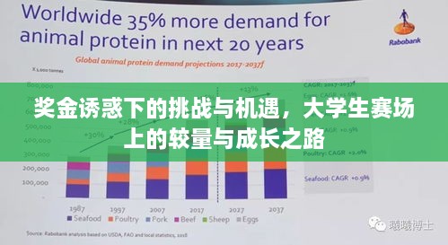 奖金诱惑下的挑战与机遇，大学生赛场上的较量与成长之路