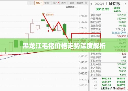 黑龙江毛猪价格走势深度解析