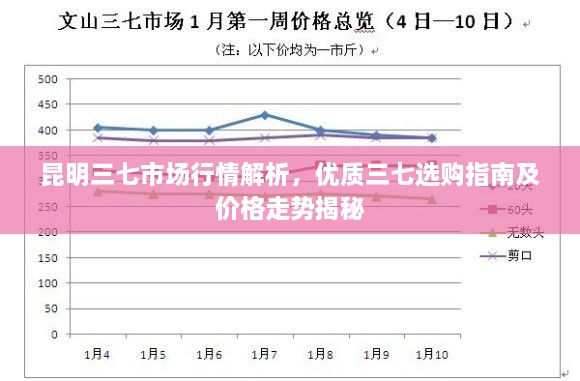 昆明三七市场行情解析，优质三七选购指南及价格走势揭秘