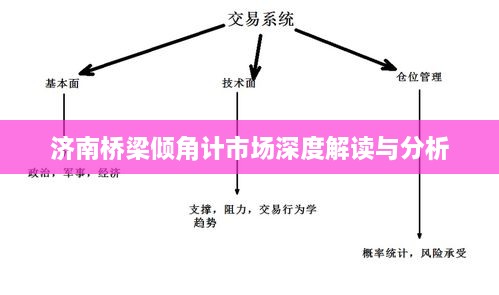 济南桥梁倾角计市场深度解读与分析