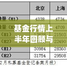 基金行情上半年回顾与下半年展望，市场走势深度解析