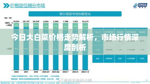 今日大白菜价格走势解析，市场行情深度剖析