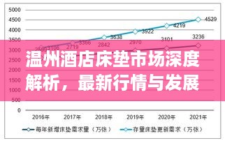 温州酒店床垫市场深度解析，最新行情与发展趋势展望