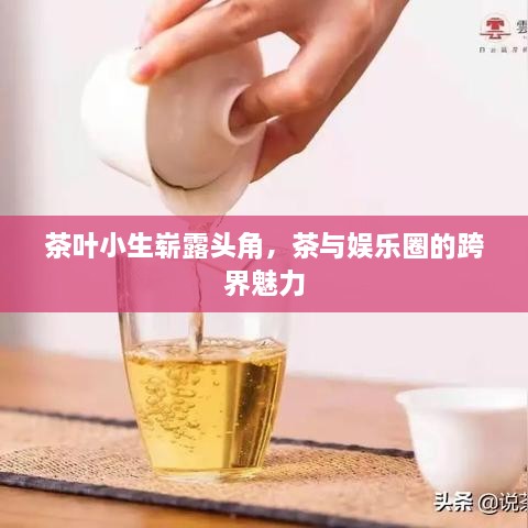 茶叶小生崭露头角，茶与娱乐圈的跨界魅力