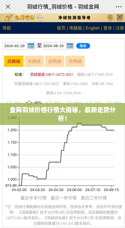 金网羽绒价格行情大揭秘，最新走势分析！