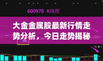 大金金属股最新行情走势分析，今日走势揭秘