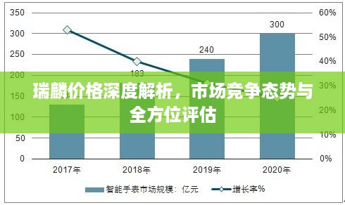 瑞麟价格深度解析，市场竞争态势与全方位评估