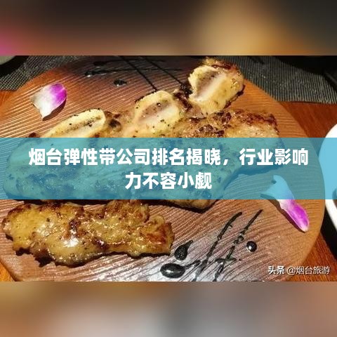 烟台弹性带公司排名揭晓，行业影响力不容小觑