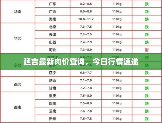 延吉最新肉价查询，今日行情速递