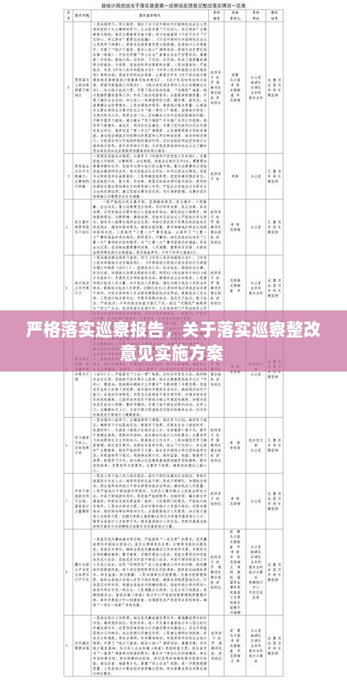 严格落实巡察报告，关于落实巡察整改意见实施方案 