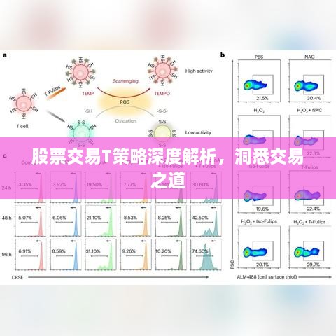 股票交易T策略深度解析，洞悉交易之道