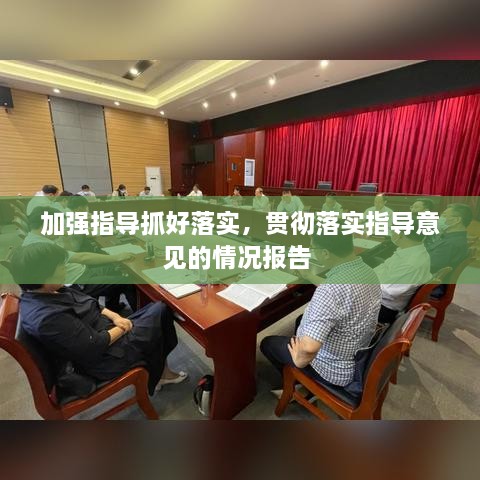 加强指导抓好落实，贯彻落实指导意见的情况报告 